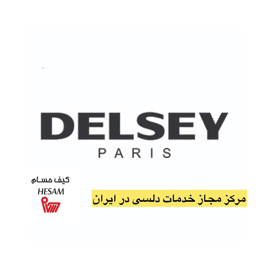 کیف حسام تعمیرگاه مجاز دلسی در ایران